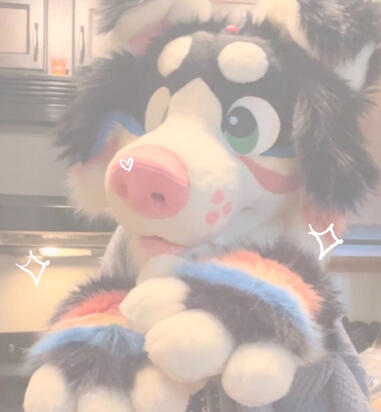 polaroid the puppy 2023