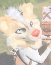 taki the puma-shiba 2023