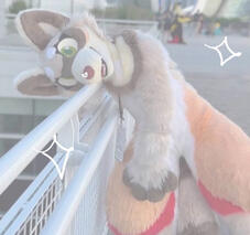 sticker the raccoon-ferret 2022